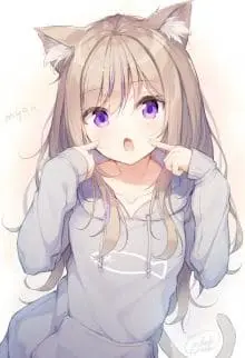 Chat con Anime, Otakus